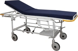 Medical Transport Trolley for Patients T-DZMO-1-2-R with Accessories