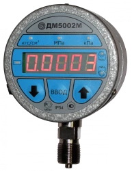 Digital Pressure Gauge DM5002M 100mm