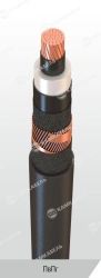 Power Cable with Copper Conductors and Cross-Linked Polyethylene Insulation, 6-35 kV, PВВ