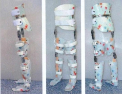 Custom-Fitted Orthosis for Lower Limbs and Torso
