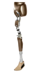 Microprocessor-Controlled Modular Hip Disarticulation Prosthesis