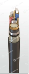 Power Cable with Aluminum Conductors and Impregnated Paper Insulation AAShng(A) 6-10 kV