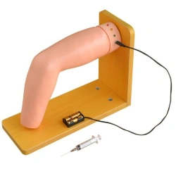 Elbow Joint Puncture Training Model LV71