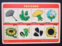 Wonders of Transformation Game (Plants)