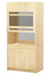 Laboratory Fume Hood for Safe Storage - Model 53039