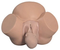 Model of midwifery practice, 8