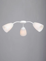 General-Purpose Stationary Light V31870-0/3PL