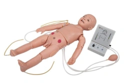 Multifunctional One-Year-Old Child Mannequin for Care, CPR, Auscultation, T432