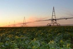 KORVET" Irrigation Machine Model DMUM-12A-337