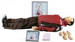 Cardiopulmonary Resuscitation and Brain Resuscitation Trainer with Indicator