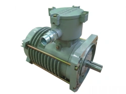 Three-Phase Explosion-Proof Asynchronous Electric Motor ELAS-M-X-X-X-UHL1