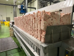 Vertical Plate Freezing Units VPF for Quick Freezing of Meat and Fish