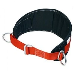 Safety Harness UP 1 UK with High Back Support