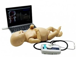 Full-Body Newborn Auscultation Model, Art. Z980N