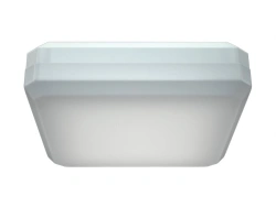 K LED (200) LED Light Fixture for Indoor/Outdoor Use