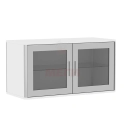 Medical Wall Cabinet for Document Storage SHN-"MSK" MDA-515.02