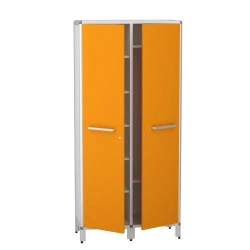 Medicine Storage Cabinet with Shelves, Model DM-2-101-27.K2.F2