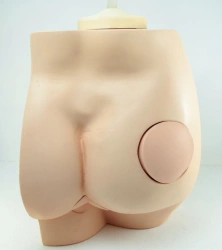 Adult Buttock Model for Intramuscular Injections and Enema Training, ROST-T1