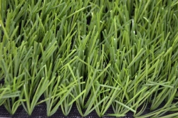 Grass 55Z/10 PU artificial grass surface