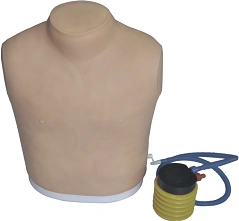 Pneumothorax model CS6227 / Q7