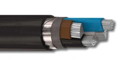 Power Cable up to 1 kV APvBShv