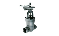 Gate Valve 882-300-CZA for Complete Flow Control