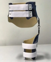 Hip Joint Rehabilitation Device for Mobility Improvement