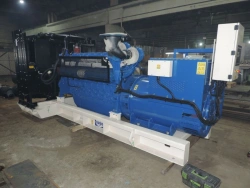 Containerized Diesel Generator Set DGU-SK up to 2000 kVA-1(2,3)-0.4 kV UHL1 (U1)