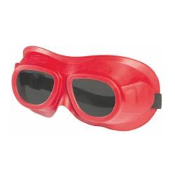 Closed Safety Goggles ZN18 DRIVER RIKO® 21831