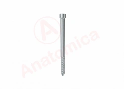 Proximal Locking Screw for Fracture Stabilization