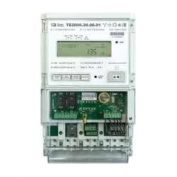 Multifunction Electric Energy Meter TE2000