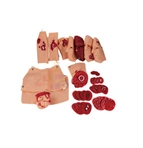 High-Durability Trauma and Injury Set G110-34