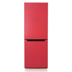 Two-Chamber Refrigerator Freezer "Biryuza H820NF