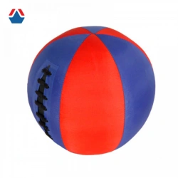 Weighted Medicine Ball for Strength Training and Rehabilitation