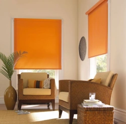 Roller Window Blinds - Adjustable Fabric Shade