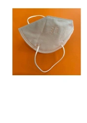Disposable Non-Woven Respirator N99/FFP3