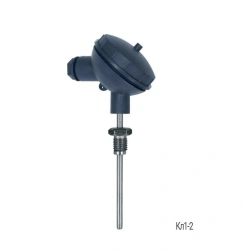 Resistance Thermometers TCMr (TSPr) – Kl1-2