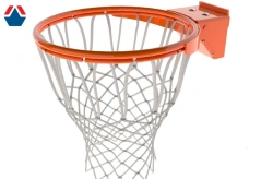 PRO Basketball Hoop with Adjustable Net System