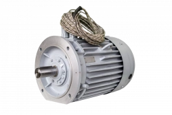 RDM160 Three-Phase Induction Motor 22kW 100Hz