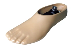 Energy-saving low heel foot 9A 055 with reinforced back thrust