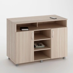 Cabinet with 2 Doors, 1 Shelf Niche, and Narrow Partition Niche