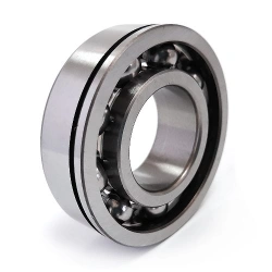 Radial Single Row Ball Bearing with Groove on Outer Ring