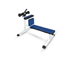 Abdominal Crunch Bench (Roman Chair)