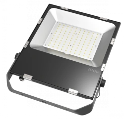 Outdoor LED Light for Commercial Use BL-TG-F-100