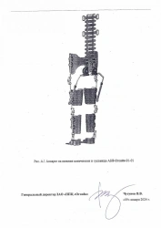 AN8-Ogonyok-01-01 Orthopedic Device for Lower Limbs and Torso