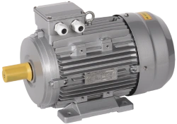 Asynchronous Three-Phase Electric Motor 5.5kW 3000rpm AIS 112L2