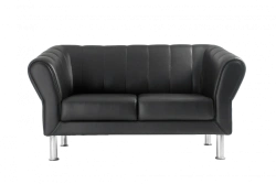 Larry+ 2-Seater Sofa - Stylish and Comfortable Seating