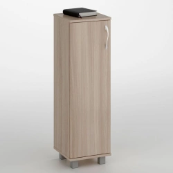 Low Document Cabinet with One Door