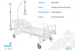 Multifunctional Medical Bed 2V202