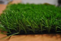 Artificial grass Optigrass MS Pro 65
